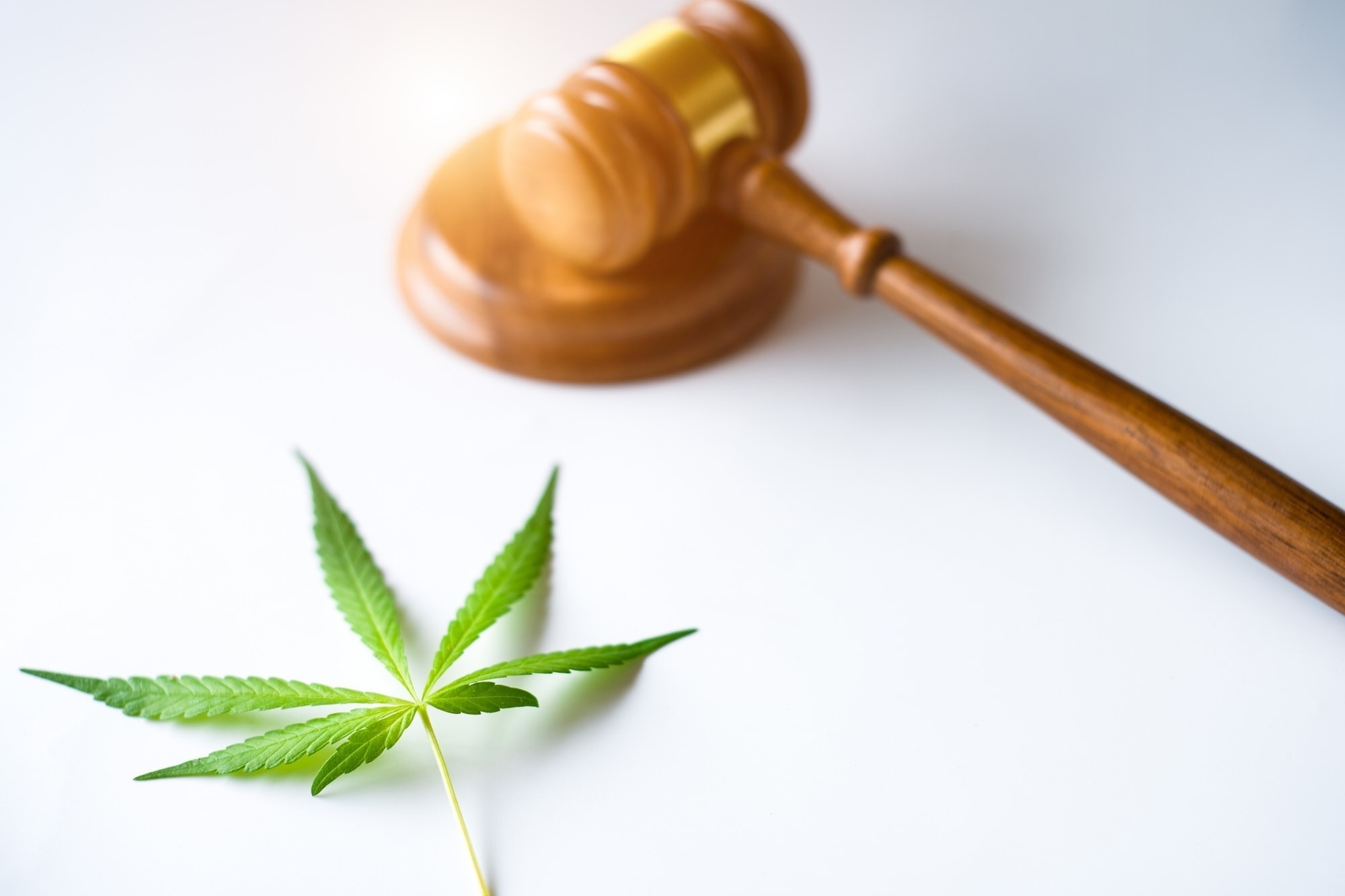 CBD-Öl: Ist CBD in Deutschland legal?