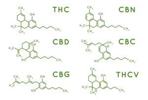 Wiki 4 Cannabinoide