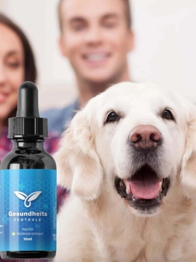 CBD-Öl für Hunde
