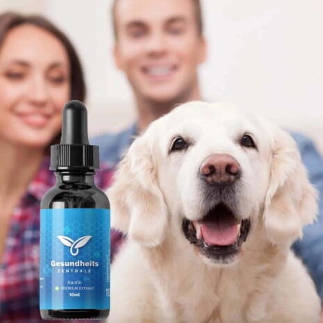 CBD-Öl für Hunde