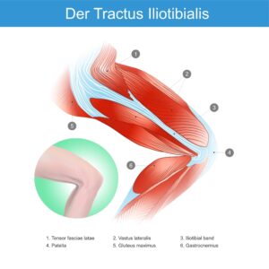 Der Tractus Iliotibialis