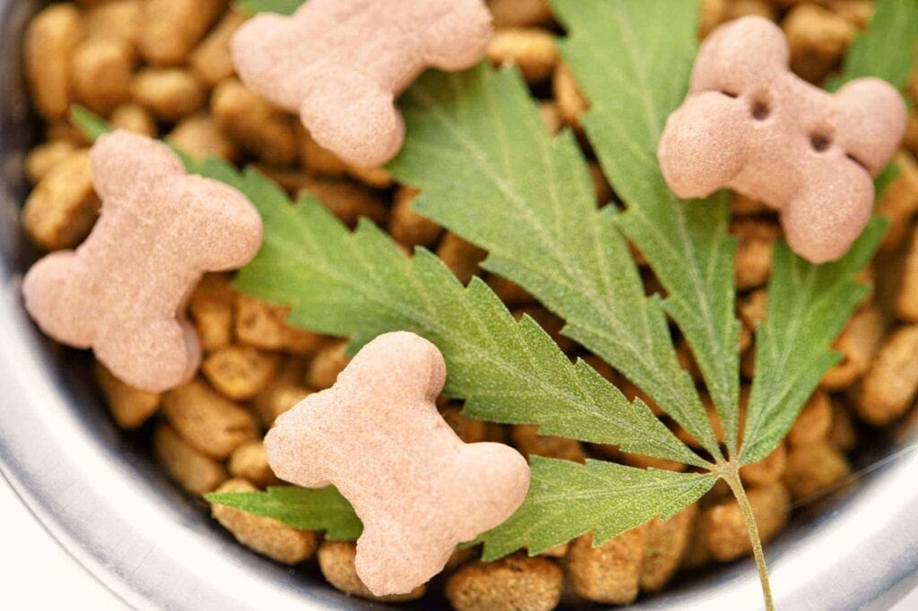 CBD-Tabletten für Hunde und Katzen