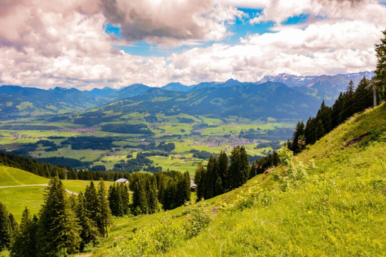 Allgäuer-Latschenkiefer-Produkte