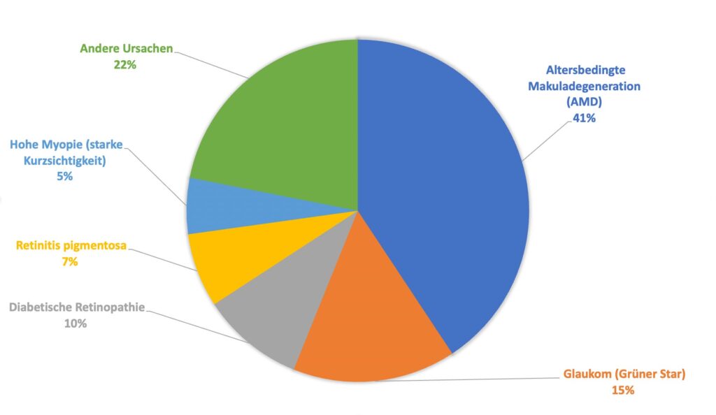Ursachen für Erblindung in Deutschland
