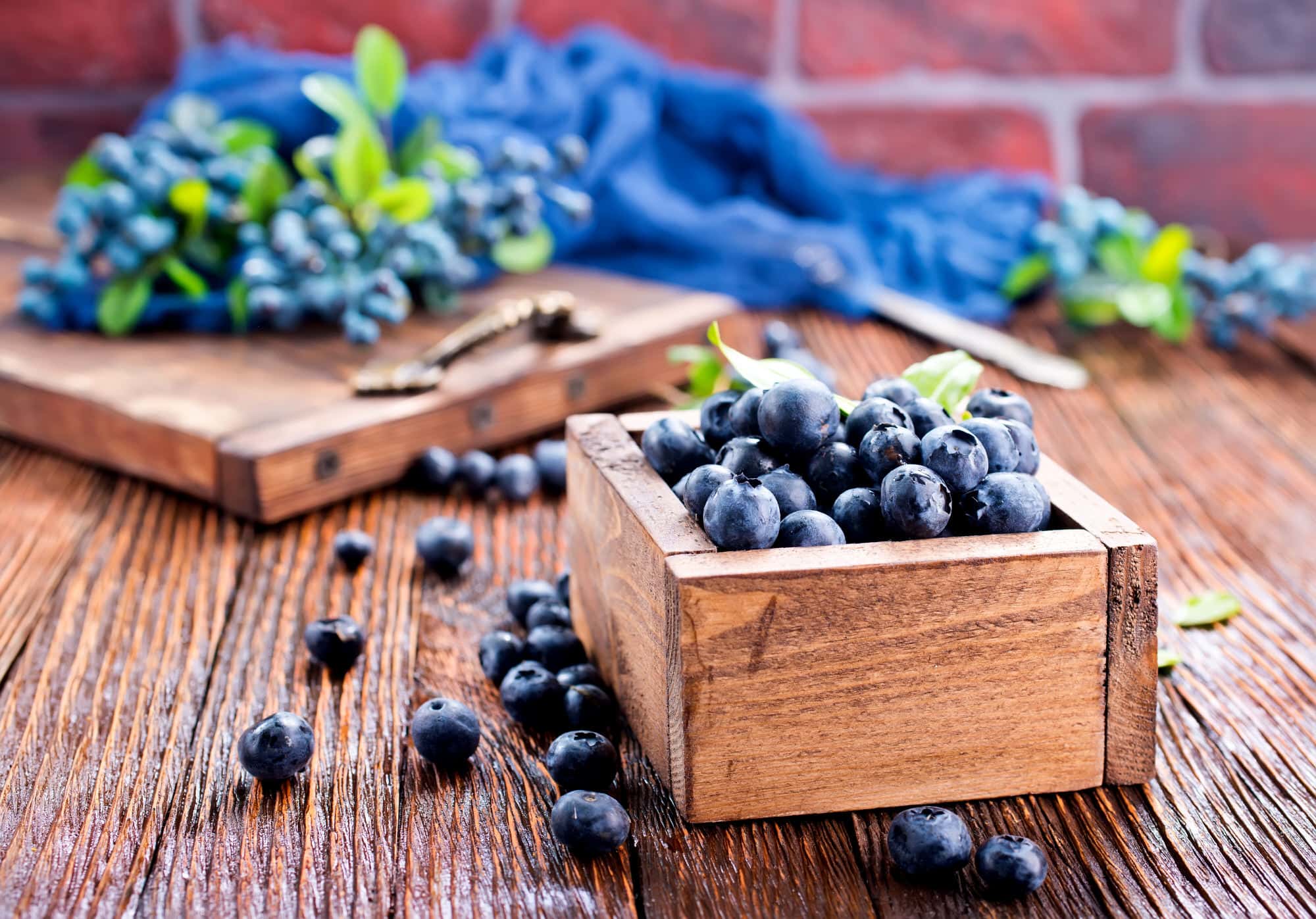 8 gesundheitliche Vorteile von Blaubeeren