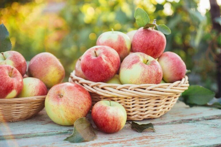8 positive Auswirkungen von Äpfeln